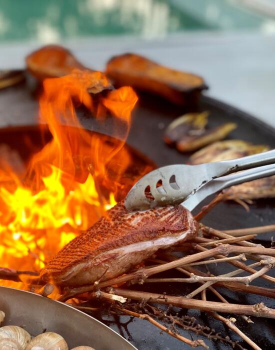 Magret de Canard au Pamplemousse